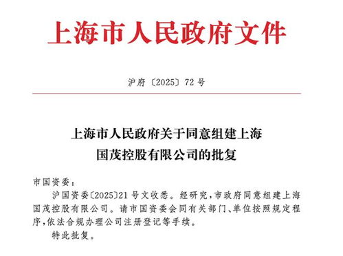 上海市政府批准成立注册资本130亿元新国企，聚焦计算机软硬件技术研发